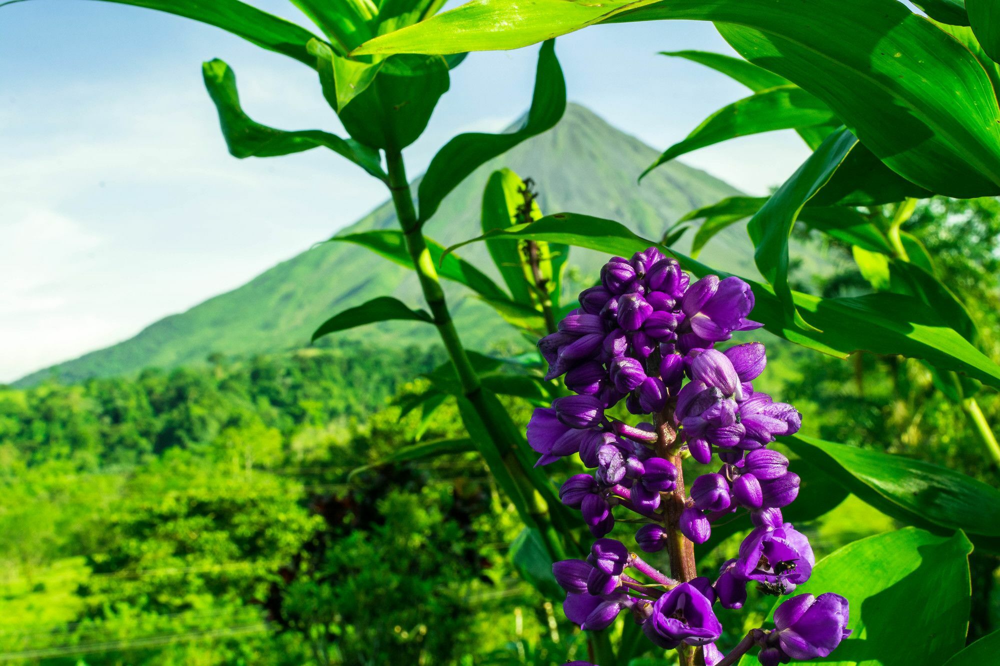Arenal Bungalows La Fortuna Exterior foto