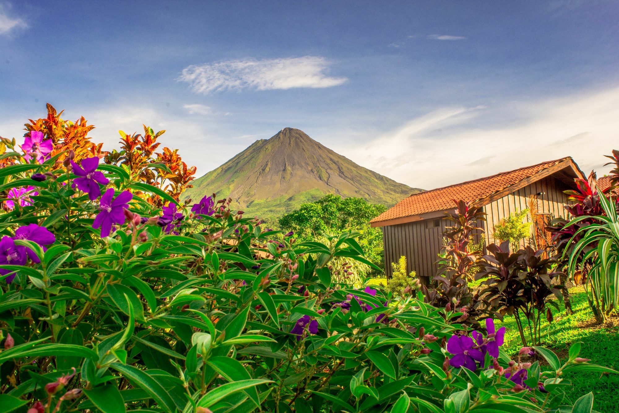 Arenal Bungalows La Fortuna Exterior foto